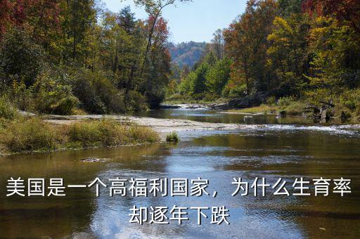 美國是一個高福利國家，為什么生育率卻逐年下跌