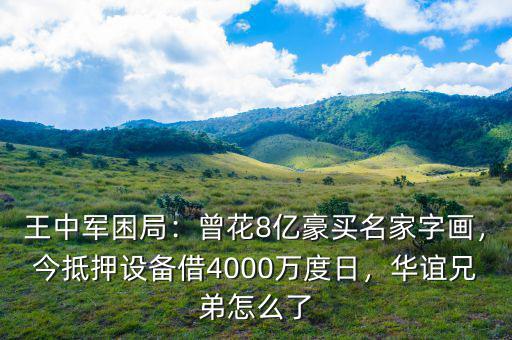 王中軍困局：曾花8億豪買名家字畫，今抵押設(shè)備借4000萬度日，華誼兄弟怎么了