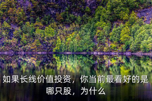 如果長線價值投資，你當前最看好的是哪只股，為什么