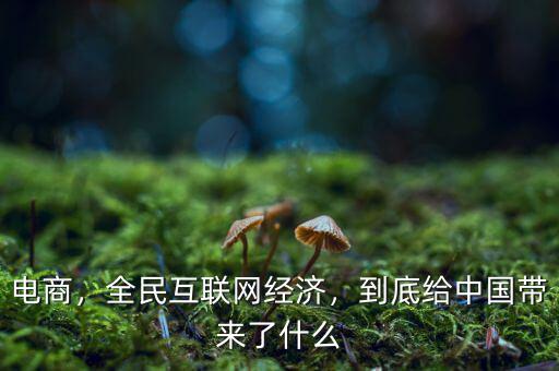 電商，全民互聯(lián)網(wǎng)經(jīng)濟(jì)，到底給中國帶來了什么