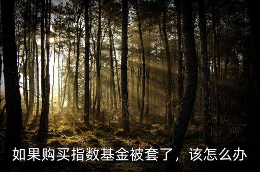 如果購買指數(shù)基金被套了，該怎么辦