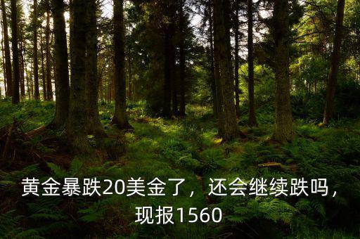 黃金暴跌20美金了，還會(huì)繼續(xù)跌嗎，現(xiàn)報(bào)1560