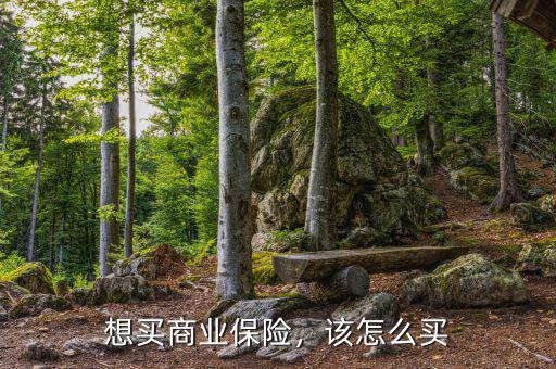想買商業(yè)保險(xiǎn)，該怎么買