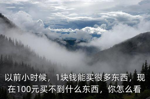 以前小時候，1塊錢能買很多東西，現(xiàn)在100元買不到什么東西，你怎么看