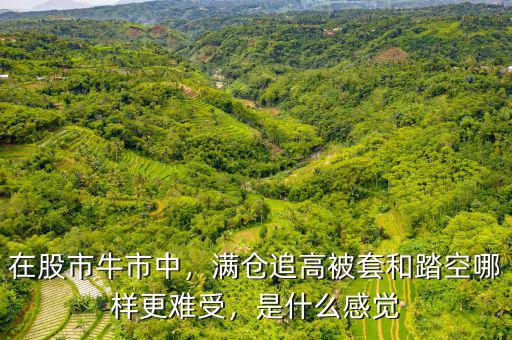 在股市牛市中，滿(mǎn)倉(cāng)追高被套和踏空哪樣更難受，是什么感覺(jué)