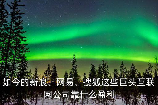如今的新浪、網(wǎng)易、搜狐這些巨頭互聯(lián)網(wǎng)公司靠什么盈利