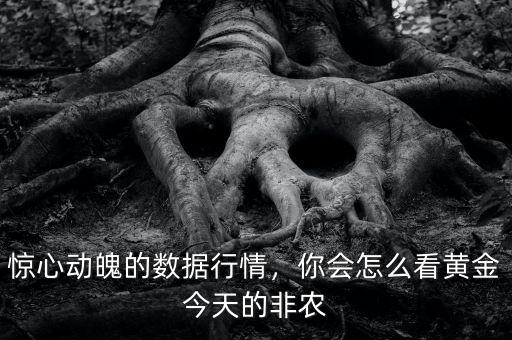 驚心動魄的數(shù)據(jù)行情，你會怎么看黃金今天的非農(nóng)