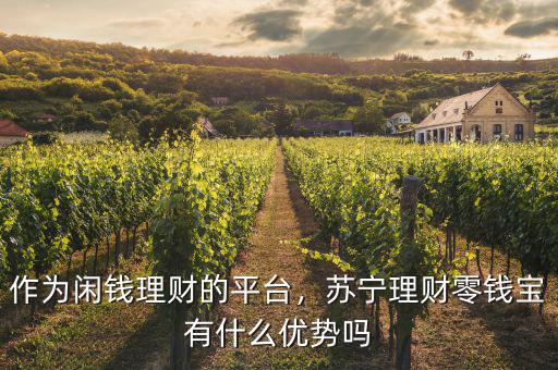 作為閑錢理財?shù)钠脚_，蘇寧理財零錢寶有什么優(yōu)勢嗎