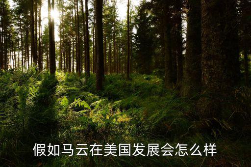 假如馬云在美國發(fā)展會(huì)怎么樣