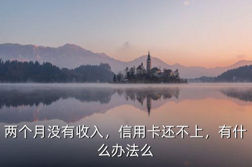 兩個(gè)月沒有收入，信用卡還不上，有什么辦法么