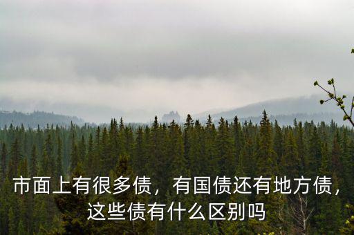 市面上有很多債，有國(guó)債還有地方債，這些債有什么區(qū)別嗎