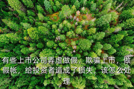 有些上市公司弄虛做假，欺騙上市，做假帳，給投資者造成了損失，該怎么處理