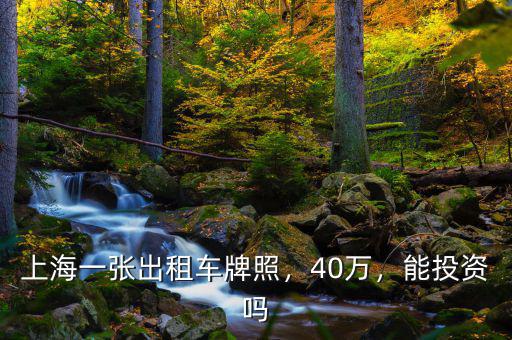 上海一張出租車牌照，40萬，能投資嗎