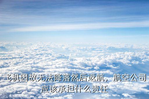 飛機因故無法降落然后返航，航空公司應該承擔什么責任