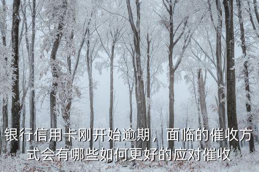 銀行信用卡剛開始逾期，面臨的催收方式會有哪些如何更好的應(yīng)對催收