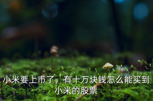 小米要上市了，有十萬塊錢怎么能買到小米的股票