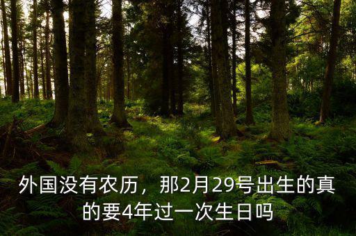 外國沒有農(nóng)歷，那2月29號(hào)出生的真的要4年過一次生日嗎