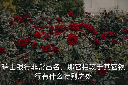 瑞士銀行非常出名，那它相較于其它銀行有什么特別之處