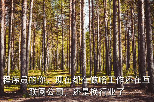 程序員的你，現(xiàn)在都在做啥工作還在互聯(lián)網(wǎng)公司，還是換行業(yè)了