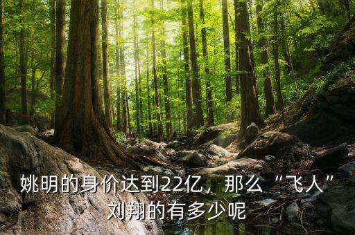 姚明的身價(jià)達(dá)到22億，那么“飛人”劉翔的有多少呢