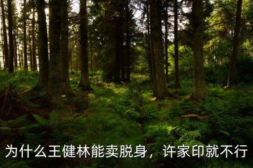 為什么王健林能賣脫身，許家印就不行