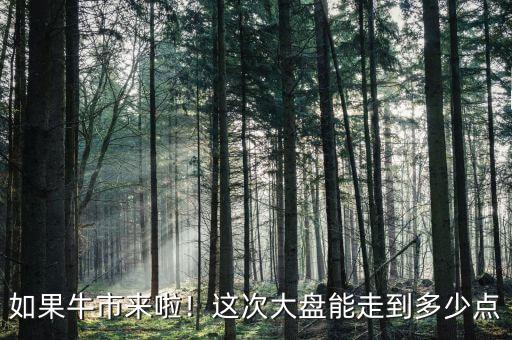 如果牛市來(lái)啦！這次大盤(pán)能走到多少點(diǎn)