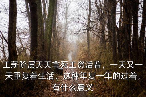 工薪階層天天拿死工資活著，一天又一天重復(fù)著生活，這種年復(fù)一年的過著，有什么意義