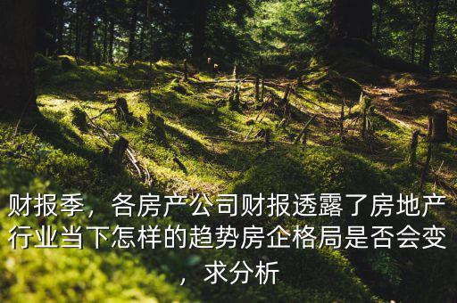 財報季，各房產(chǎn)公司財報透露了房地產(chǎn)行業(yè)當下怎樣的趨勢房企格局是否會變，求分析
