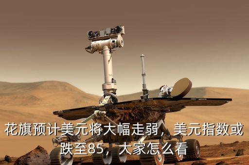 花旗預(yù)計(jì)美元將大幅走弱，美元指數(shù)或跌至85，大家怎么看