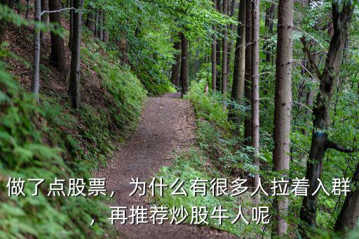 做了點(diǎn)股票，為什么有很多人拉著入群，再推薦炒股牛人呢