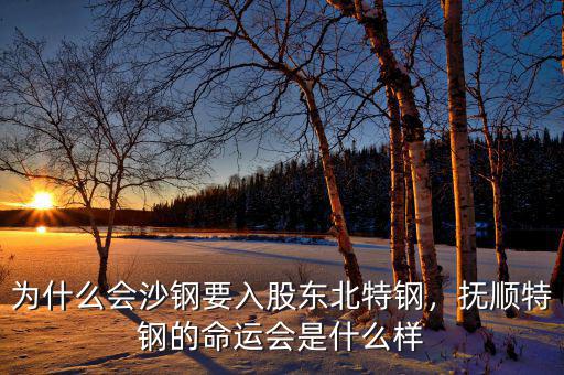 為什么會(huì)沙鋼要入股東北特鋼，撫順特鋼的命運(yùn)會(huì)是什么樣
