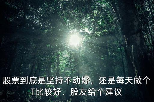 股票到底是堅(jiān)持不動(dòng)好，還是每天做個(gè)T比較好，股友給個(gè)建議