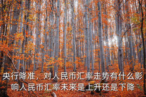 央行降準，對人民幣匯率走勢有什么影響人民幣匯率未來是上升還是下降
