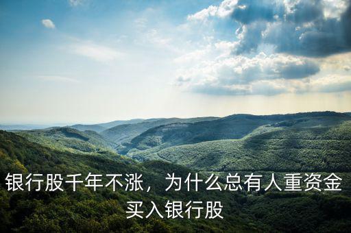 銀行股千年不漲，為什么總有人重資金買入銀行股