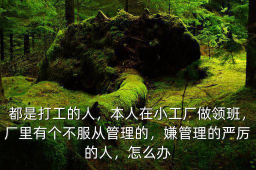 都是打工的人，本人在小工廠做領(lǐng)班，廠里有個(gè)不服從管理的，嫌管理的嚴(yán)厲的人，怎么辦