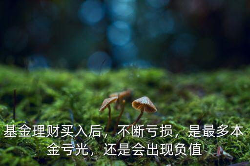 基金理財(cái)買入后，不斷虧損，是最多本金虧光，還是會(huì)出現(xiàn)負(fù)值