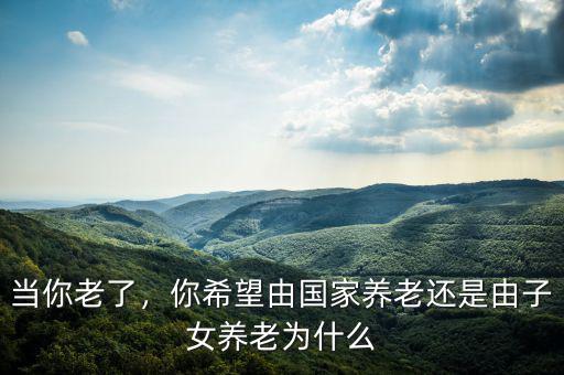 當(dāng)你老了，你希望由國家養(yǎng)老還是由子女養(yǎng)老為什么