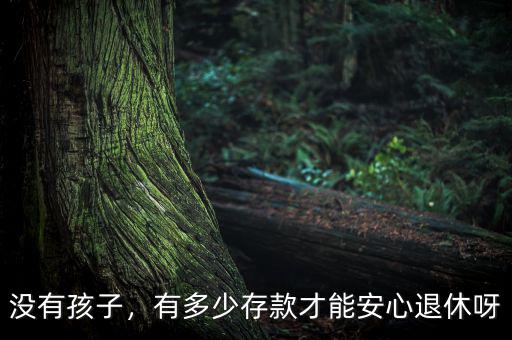 沒有孩子，有多少存款才能安心退休呀