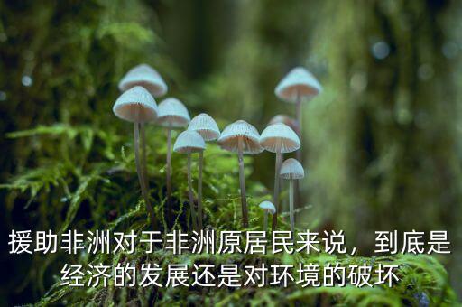 援助非洲對于非洲原居民來說，到底是經(jīng)濟(jì)的發(fā)展還是對環(huán)境的破壞