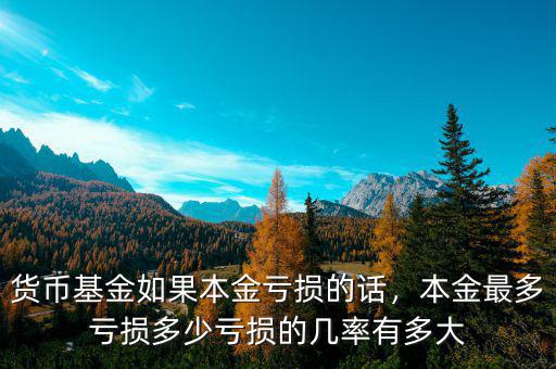 貨幣基金如果本金虧損的話，本金最多虧損多少虧損的幾率有多大