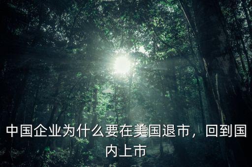 中國企業(yè)為什么要在美國退市，回到國內(nèi)上市