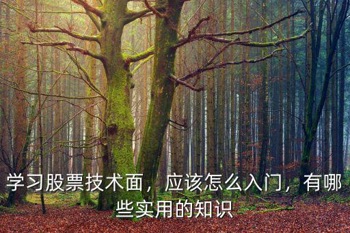 學(xué)習(xí)股票技術(shù)面，應(yīng)該怎么入門，有哪些實用的知識