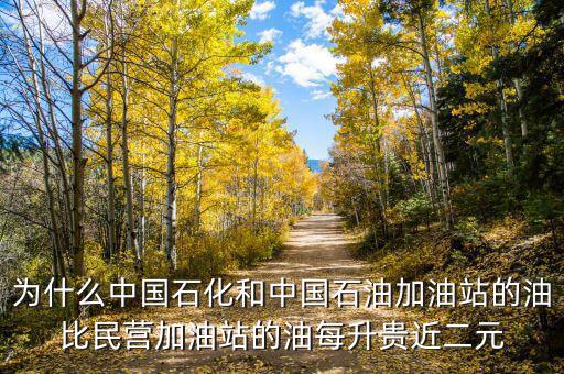 為什么中國石化和中國石油加油站的油比民營(yíng)加油站的油每升貴近二元