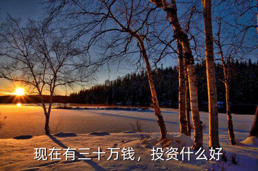 現(xiàn)在有三十萬錢，投資什么好