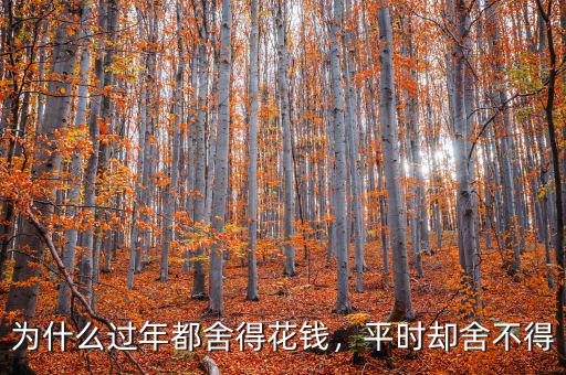 為什么過年都舍得花錢，平時(shí)卻舍不得