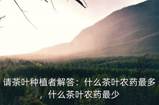 請(qǐng)茶葉種植者解答：什么茶葉農(nóng)藥最多，什么茶葉農(nóng)藥最少