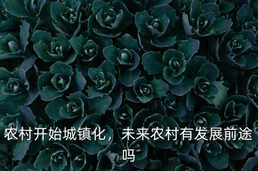 農(nóng)村開始城鎮(zhèn)化，未來農(nóng)村有發(fā)展前途嗎