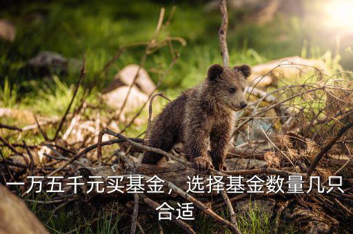 一萬(wàn)五千元買基金，選擇基金數(shù)量幾只合適