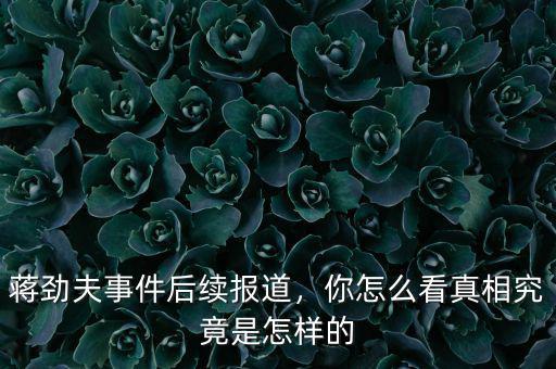 蔣勁夫事件后續(xù)報(bào)道，你怎么看真相究竟是怎樣的