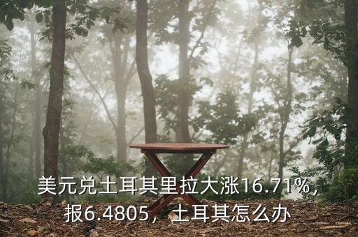 美元兌土耳其里拉大漲16.71%，報6.4805，土耳其怎么辦